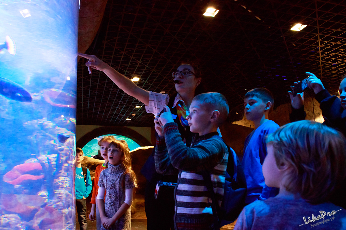 Therapeutic meeting for children from families with ALS was held in the Aquarium