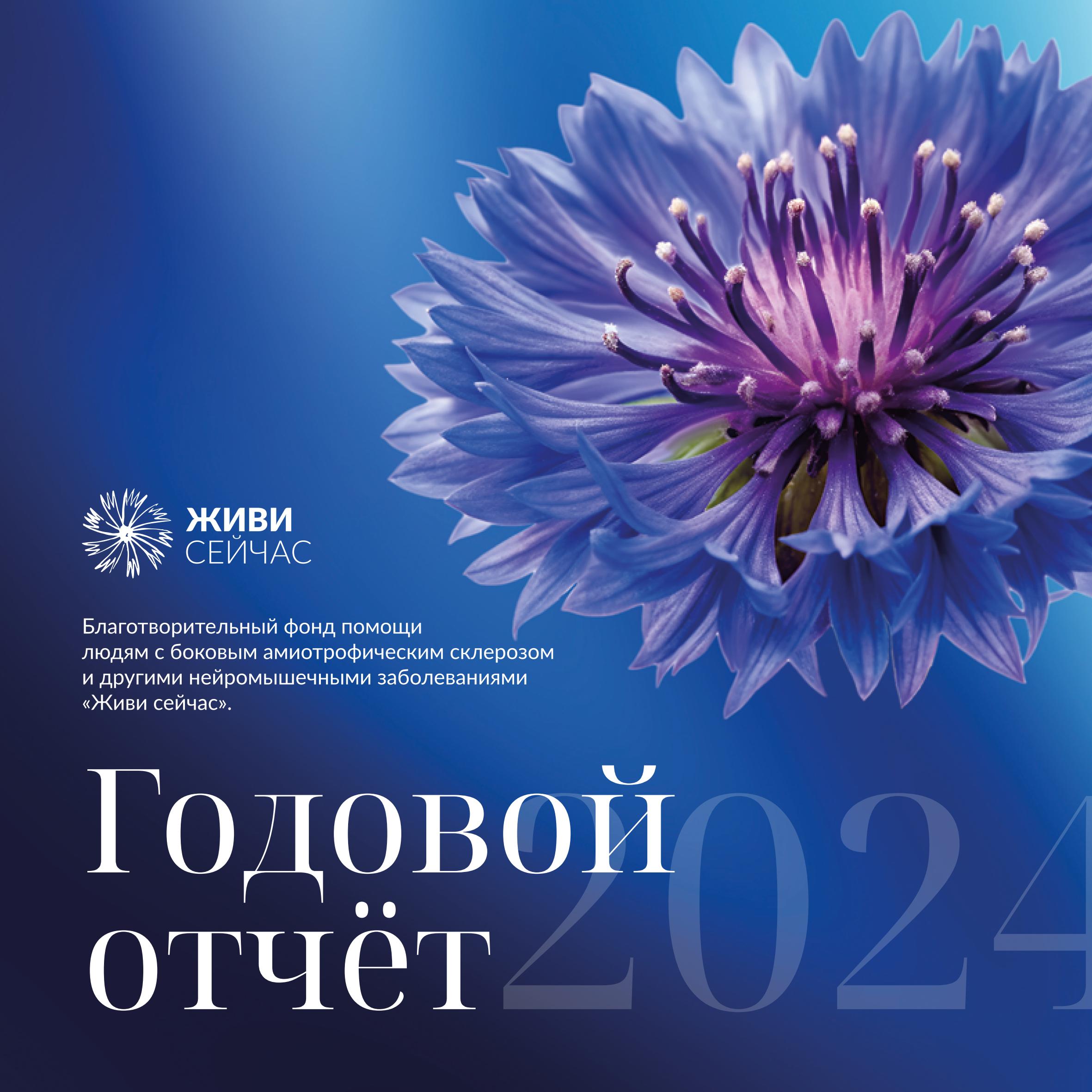 О благотворительности – нескромно.  Опубликован годовой отчёт фонда «Живи сейчас» за 2024 год